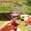 Cape Town: Stellenbosch & Franschhoek Wine Tasting Tour