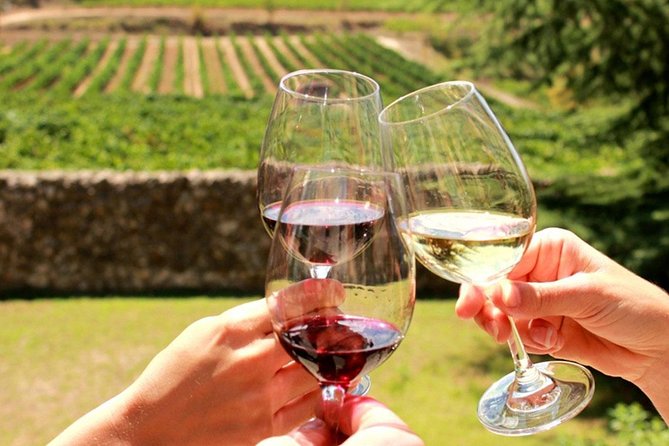 Cape Town: Stellenbosch & Franschhoek Wine Tasting Tour