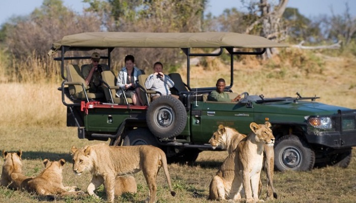 full-day-cape-town-safari