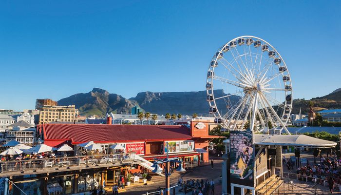 Cape Peninsula Full Day