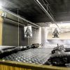 Cape Town’s Top Rated Indoor Shooting Range