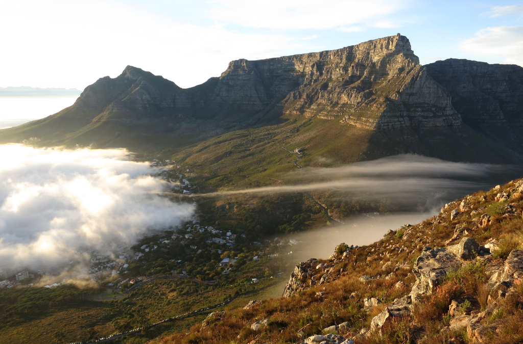 Cape Town: Robben-Island Tour⛴ + Table Mountain + Two Ocean Aquarium