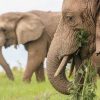 Garden Route Tour