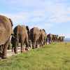 Garden Route Tour