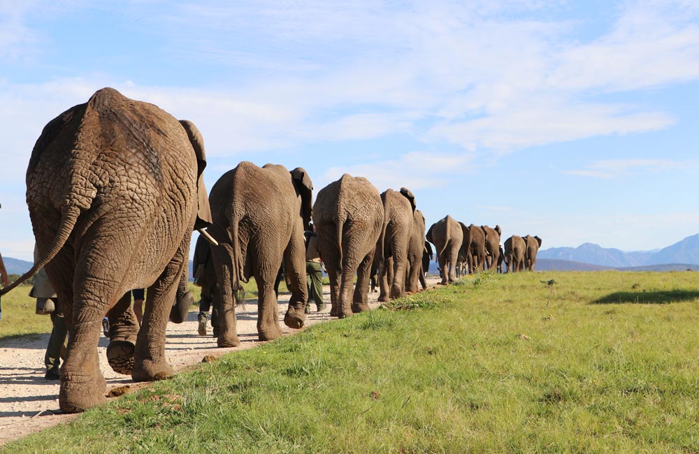 Garden Route Tour