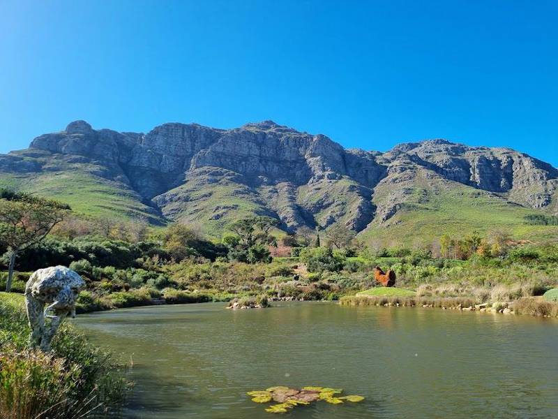 Cape Town: Stellenbosch & Franschhoek Wine Tasting Tour