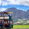 Cape Town: Stellenbosch & Franschhoek Wine Tasting Tour