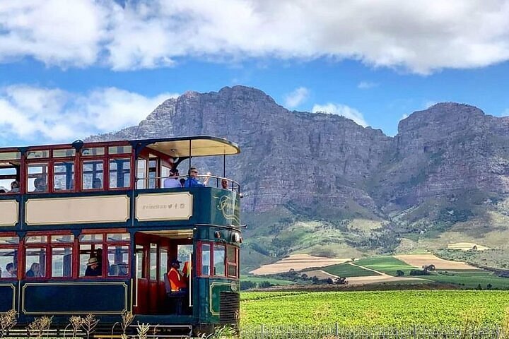 Cape Town: Stellenbosch & Franschhoek Wine Tasting Tour