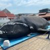 Garden Route Tour