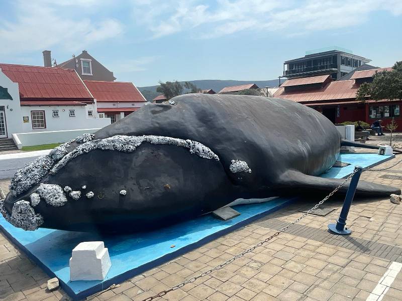 Garden Route Tour