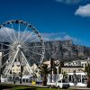 Cape Town: Robben-Island Tour⛴ + Table Mountain + Two Ocean Aquarium