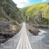 Garden Route Tour