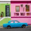 Cape Peninsula Full Day