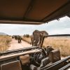 Full Day Cape Town Safari