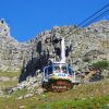 Cape Town: Robben-Island Tour⛴ + Table Mountain + Two Ocean Aquarium