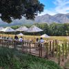 Cape Town: Stellenbosch & Franschhoek Wine Tasting Tour